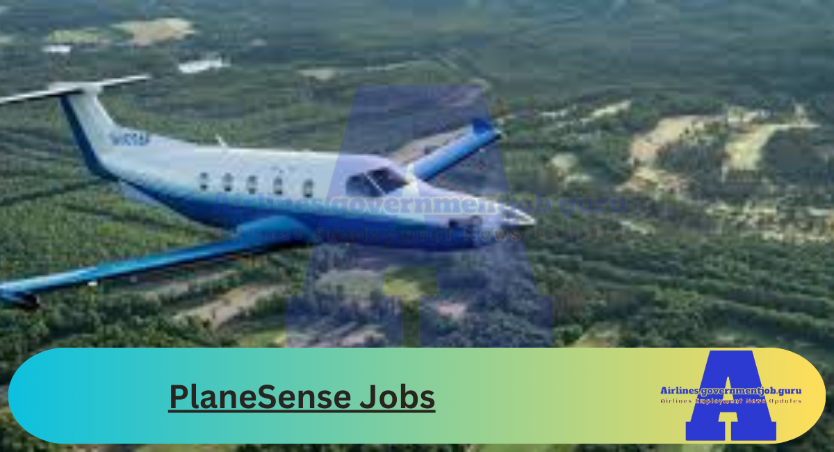 PlaneSense Jobs