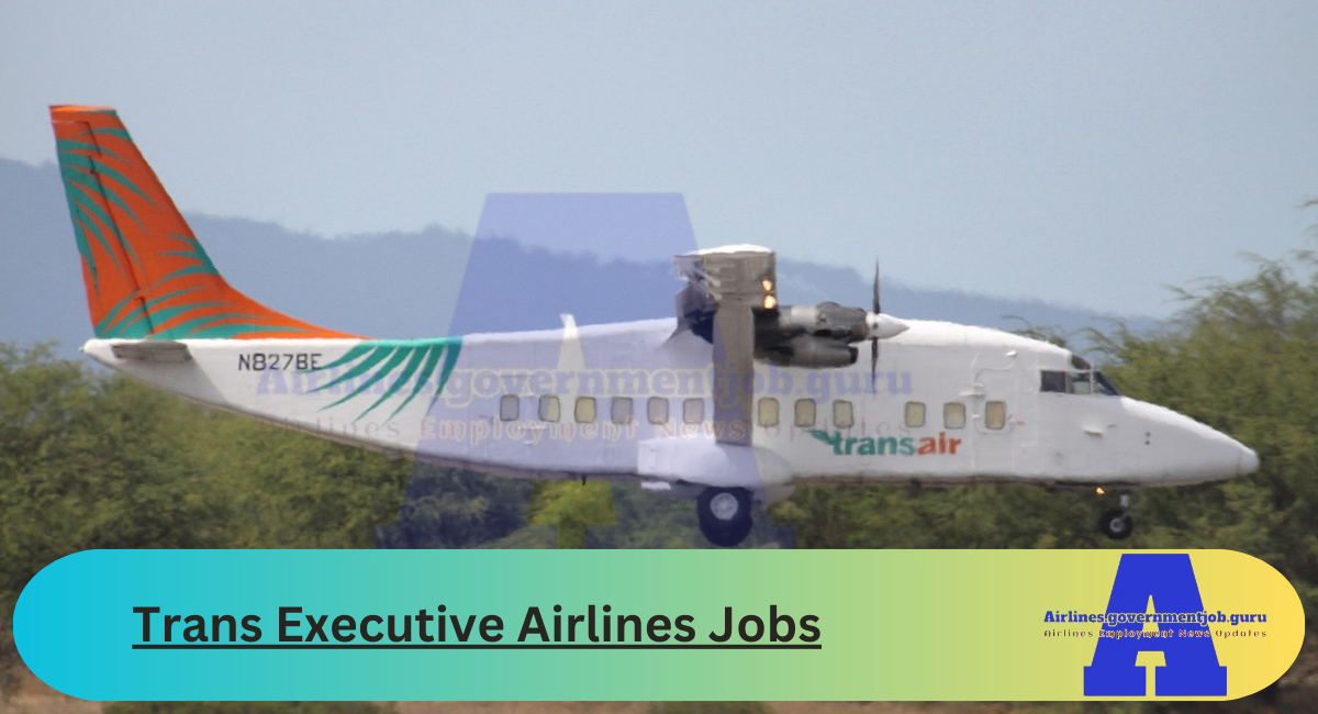 Trans Executive Airlines Jobs